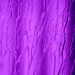 Purple Rain by genealogygenie