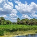 Natural Florida by danette