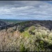 Panorama from Symonds Yat by judithdeacon