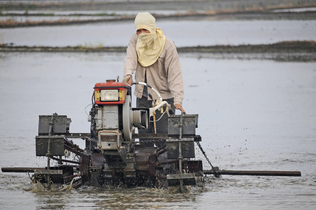 Working in the rice paddy by ianjb21