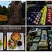 Maleny Cheese Cafe... by happysnaps