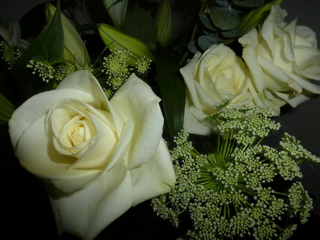 White roses... by snowy