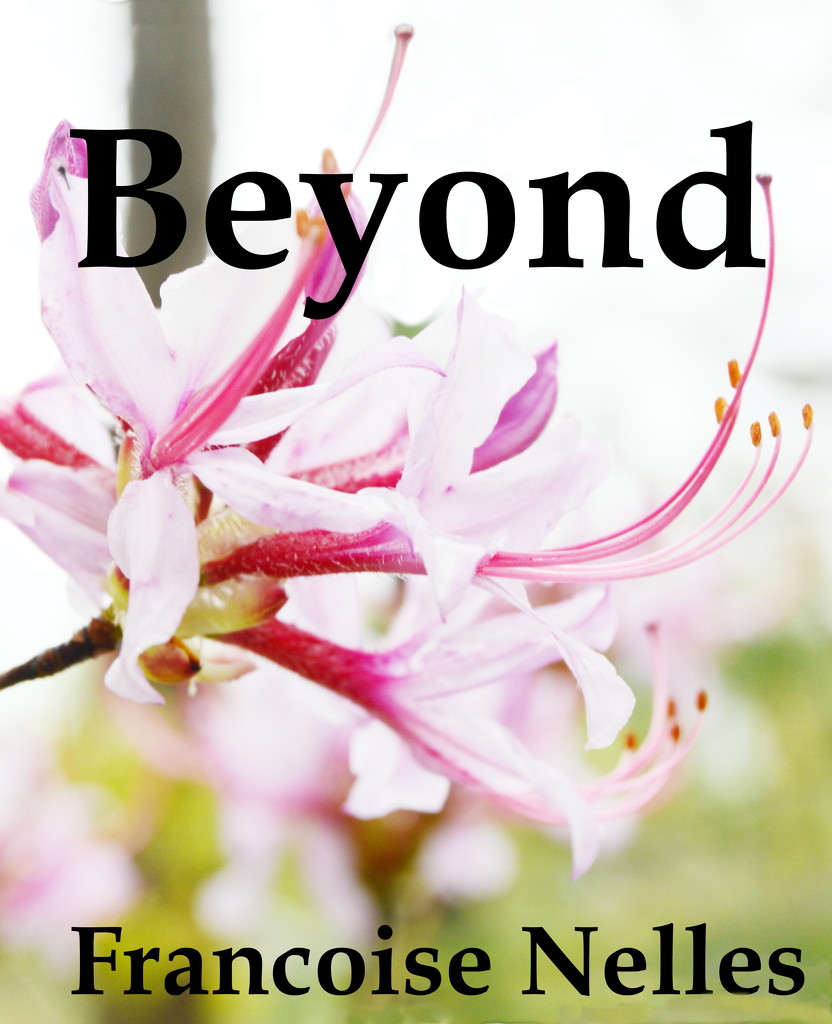 Beyond by francoise