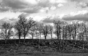 2nd May 2016 - Trees On A Hill