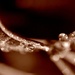 sepia droplets by dianeburns