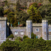 Caerhays Castle by swillinbillyflynn