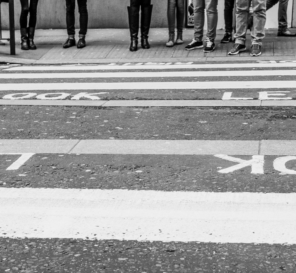 Waiting to cross by newbank