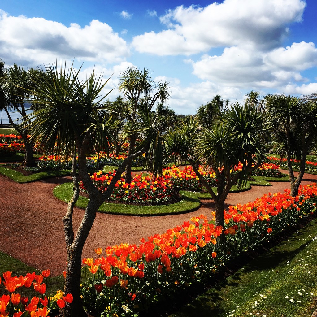 Gorgeous Gardens by cookingkaren