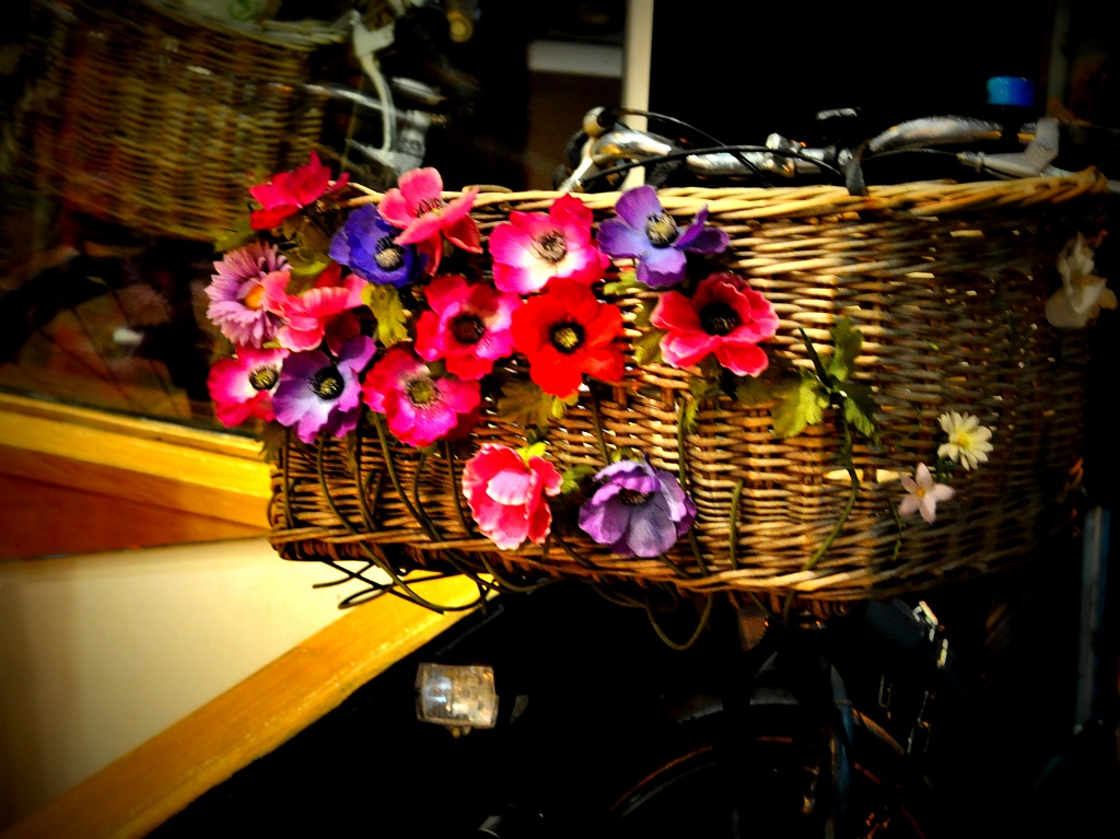 Flower Basket by andycoleborn