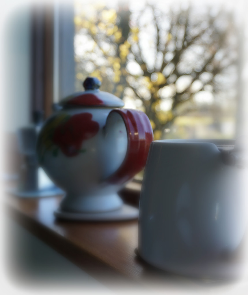 teapots and buds in sunshine by sarah19