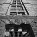 Another perspective -Tobacco Warehouse by judithdeacon