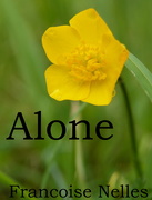 3rd May 2016 - Alone