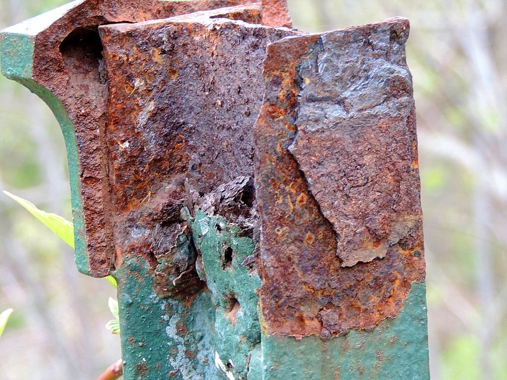 Rusted! by homeschoolmom