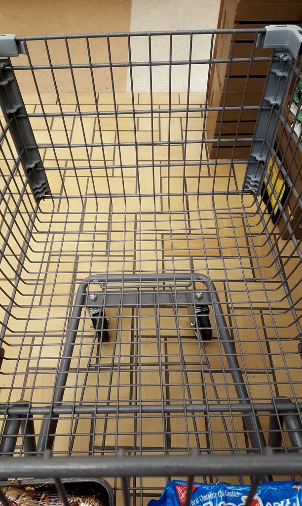 My Almost Empty Shopping Cart  by jo38