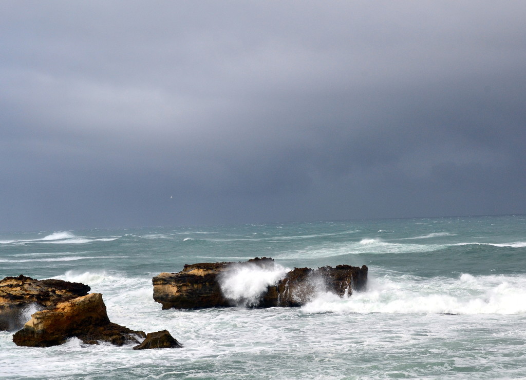  more wild seas by dianeburns