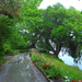 Path along Ashley River after a heavy rain storm, Magnolia Gardens, Charleston, SC by congaree