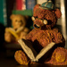 Bear and Book by rjb71