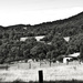 Hunter Valley 4 by annied