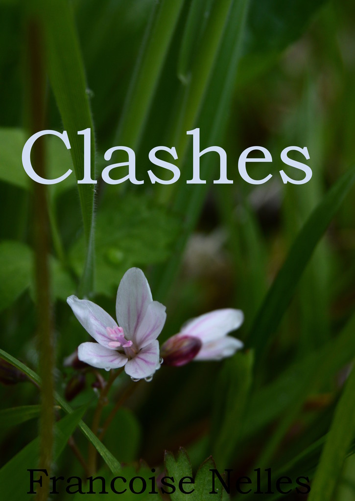 Clashes  by francoise