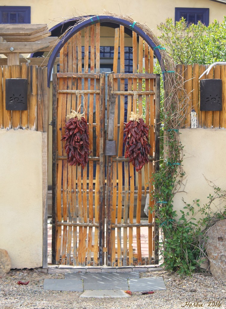 Doorway with Chili Ristras by harbie