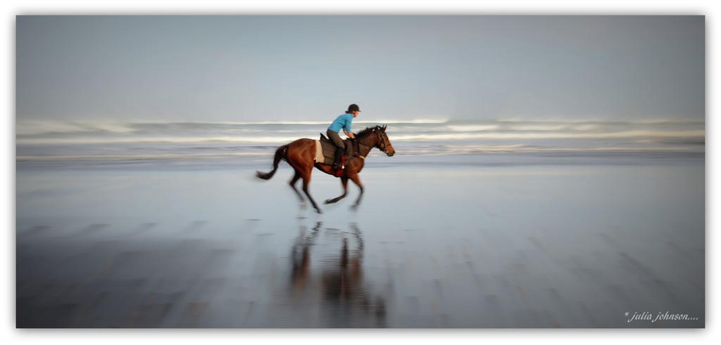 West Coast Horse training... by julzmaioro