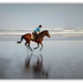 West Coast Horse training... by julzmaioro