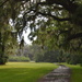 Magnolia Gardens after a heavy rain storm by congaree