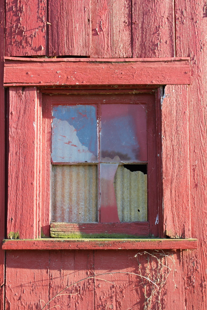 Old Barn Window by essiesue