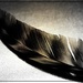 Feather by olivetreeann
