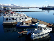 13th Apr 2016 - Reykjavik harbour