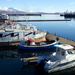 Reykjavik harbour by karendalling