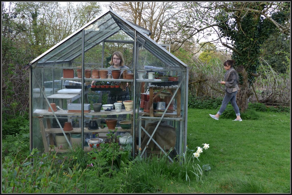 Mum's greenhouse by jokristina