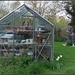 Mum's greenhouse by jokristina
