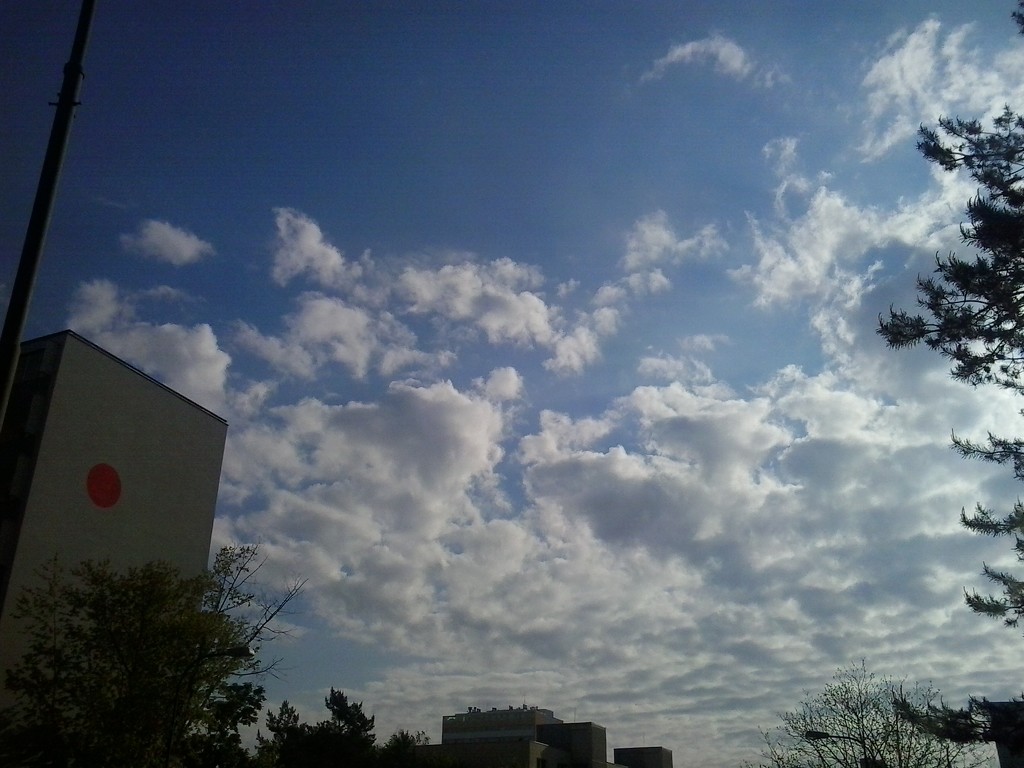 Springy clouding. by ivm