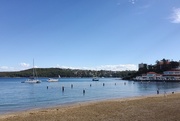 1st May 2016 - Manly