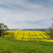 Yellow Fields by rjb71