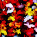 Flower Leis by jaybutterfield