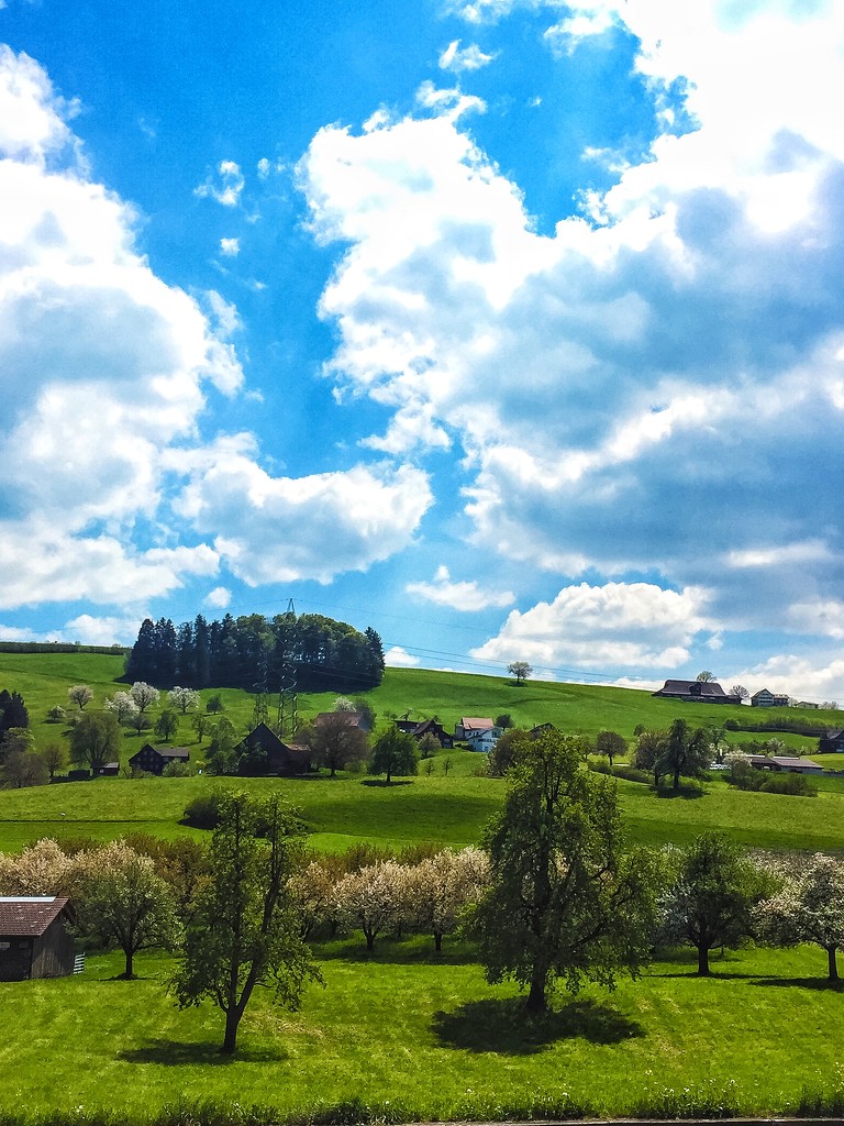 Swiss landscape by cocobella