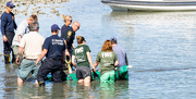 6th May 2016 - Manatee Rescue  (3 of 3)