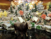 27th Dec 2015 - Mark another Cabelas off our list!