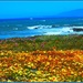 From seed to shining sea. by soylentgreenpics