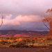 After the Rain in the Flinders Ranges by leestevo