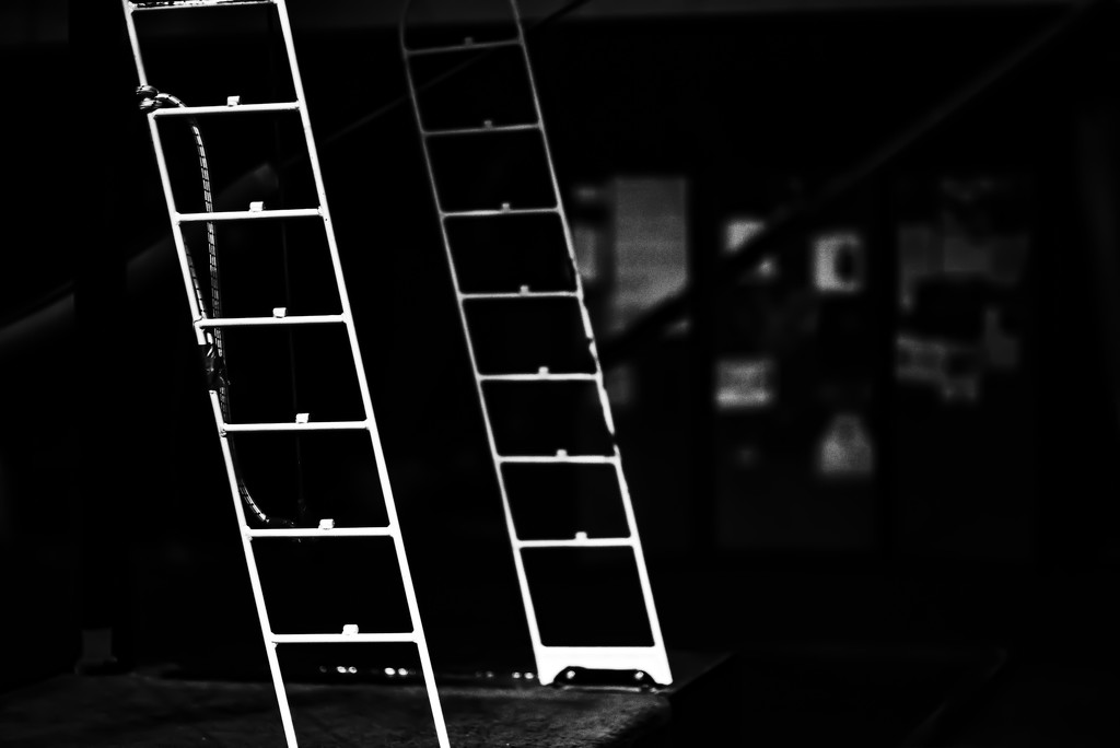 Ladders in the Light by taffy