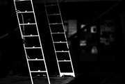 7th May 2016 - Ladders in the Light