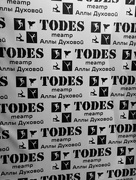 7th May 2016 - Todes Performance