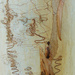 Scribbly Gum Bark by onewing