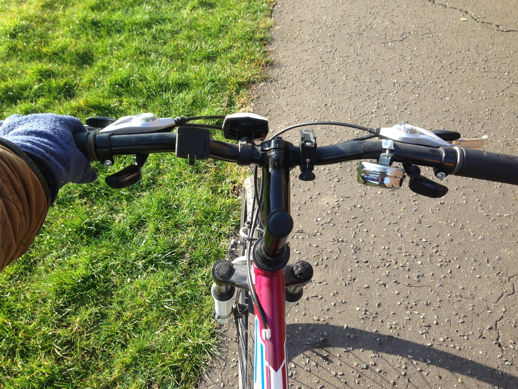 Sunny cycling commute  by bilbaroo