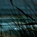 seaside backdrop  by dianeburns