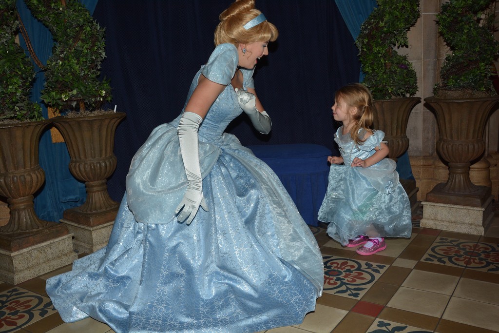Curtsying with Cinderella  by mdoelger