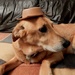 Wooden Hat by bulldog